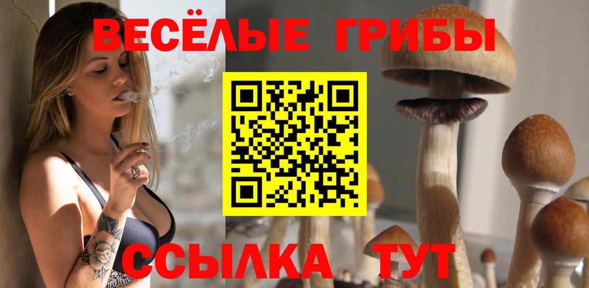Псилоцибиновые грибы мухоморы Пушкино